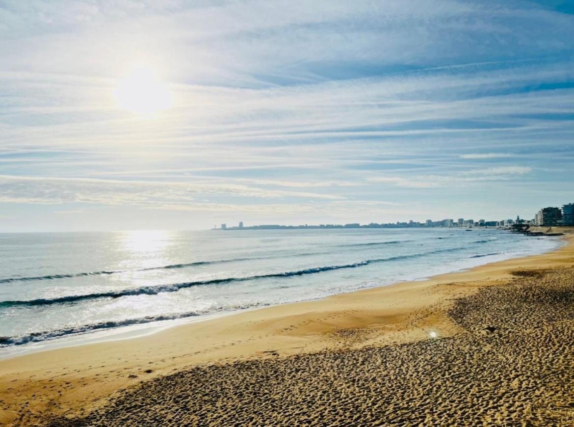 Appartement Neuf - Vue Ocean 50M - Sud - Balcon - Calme La Pironnière 외부 사진